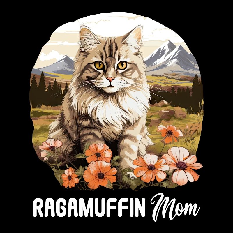 Ragamuffin Kätzchen Ragamuffin Katze