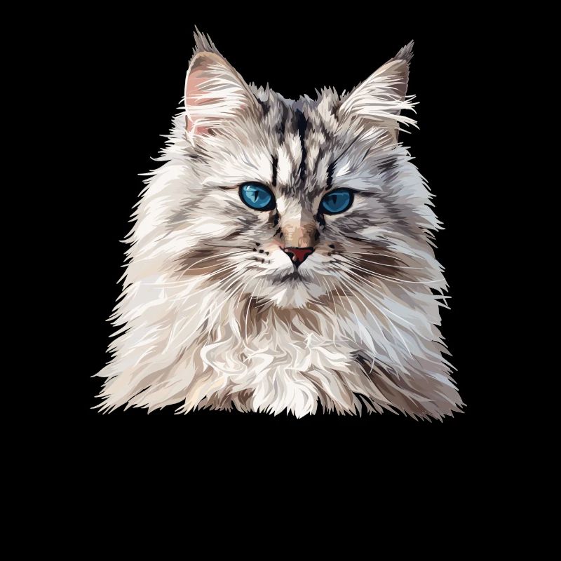 Chat sibérien Sibirische Katze