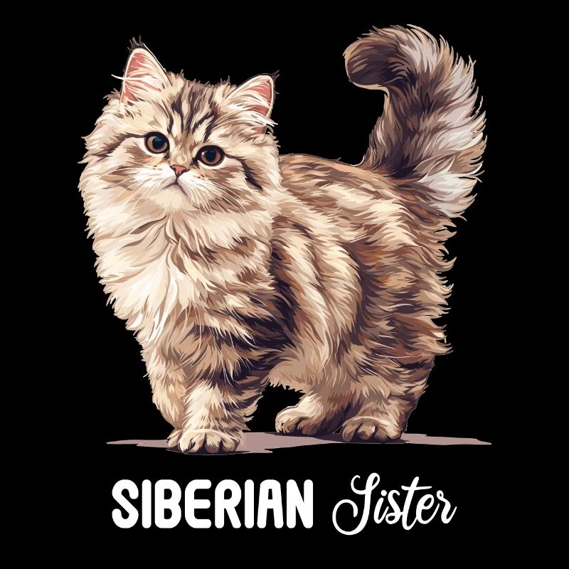 Chat Sibérien Sibirische Katze