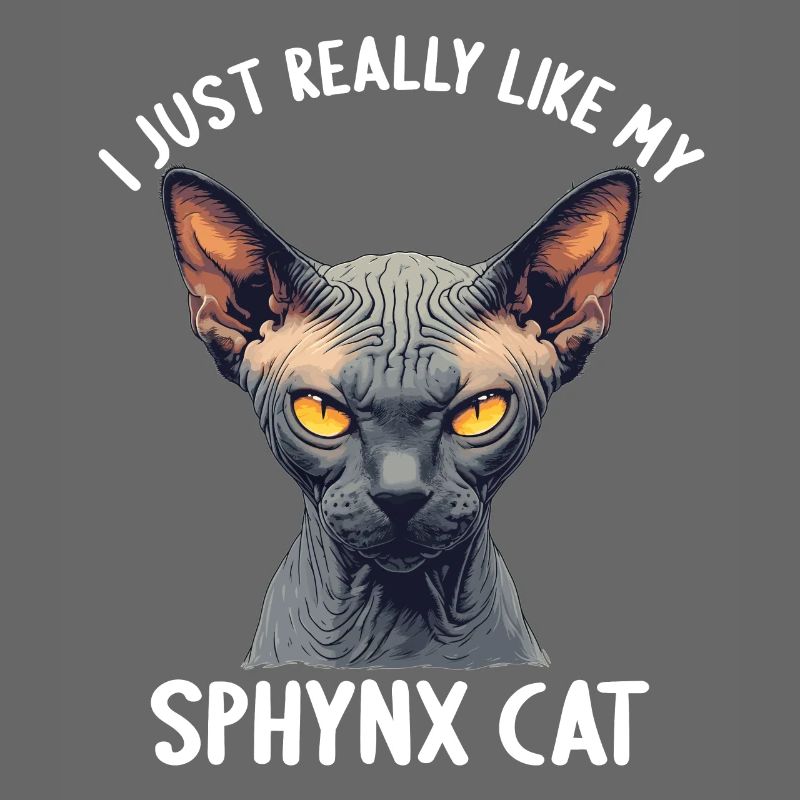 Chaton Sphynx Chat Sphynx