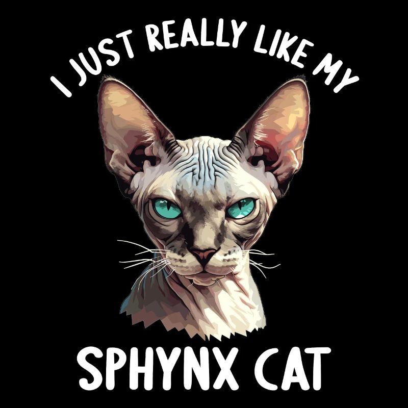 Sphynx Kitten Sphynx Cat