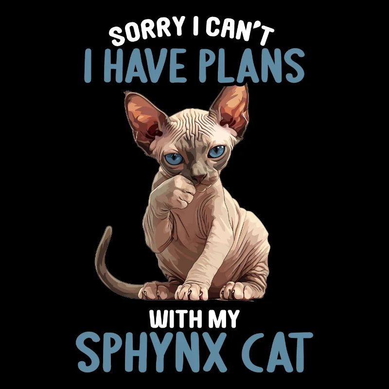 Sphynx Kitten Sphynx Cat
