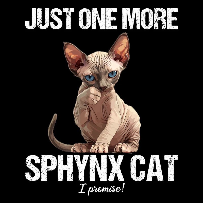 Sphynx Kitten Sphynx Cat