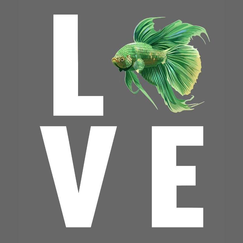 Bettas Betta Poisson Betta