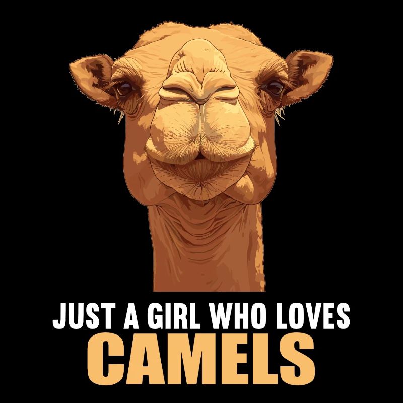 Chameau Kamele Kamel