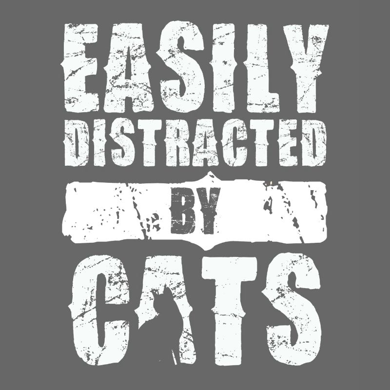 Easily distracted by cats