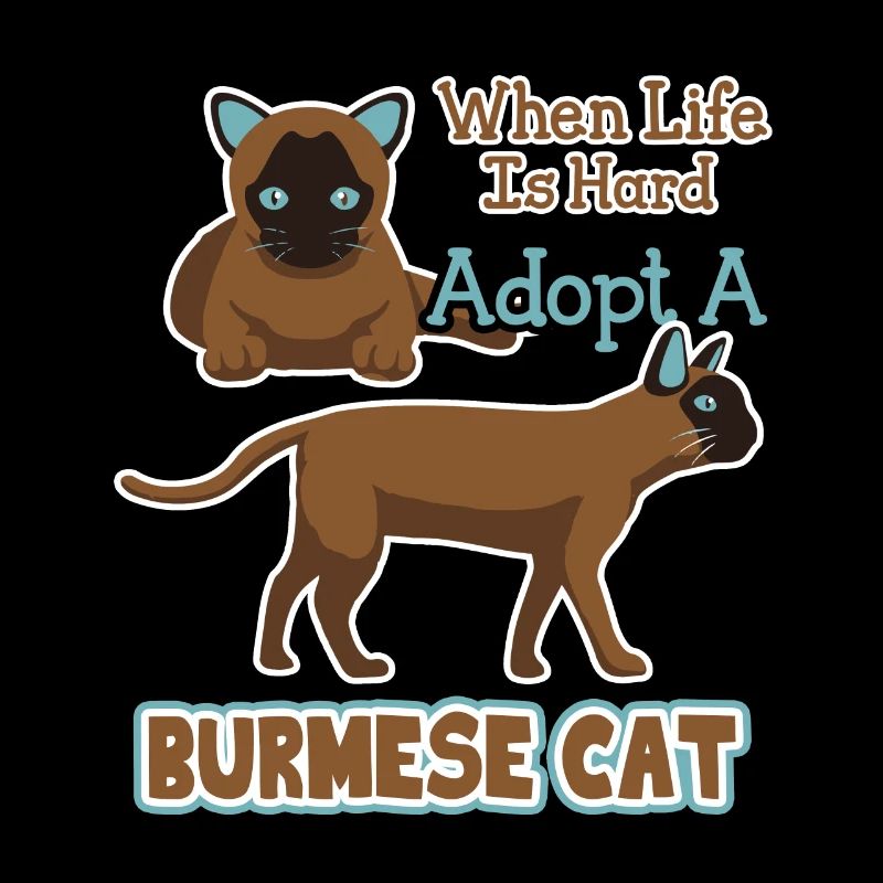Adopt A Burmese Cat