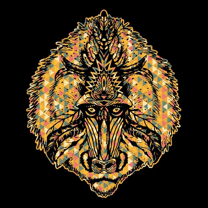 Baboon Geometric