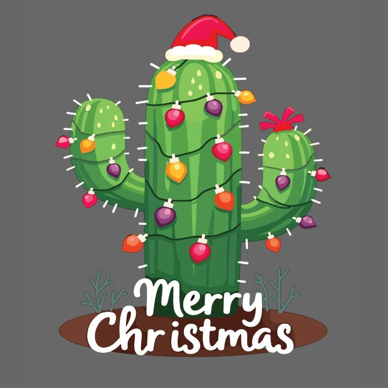 Cactus de Noël Cactus Cactus