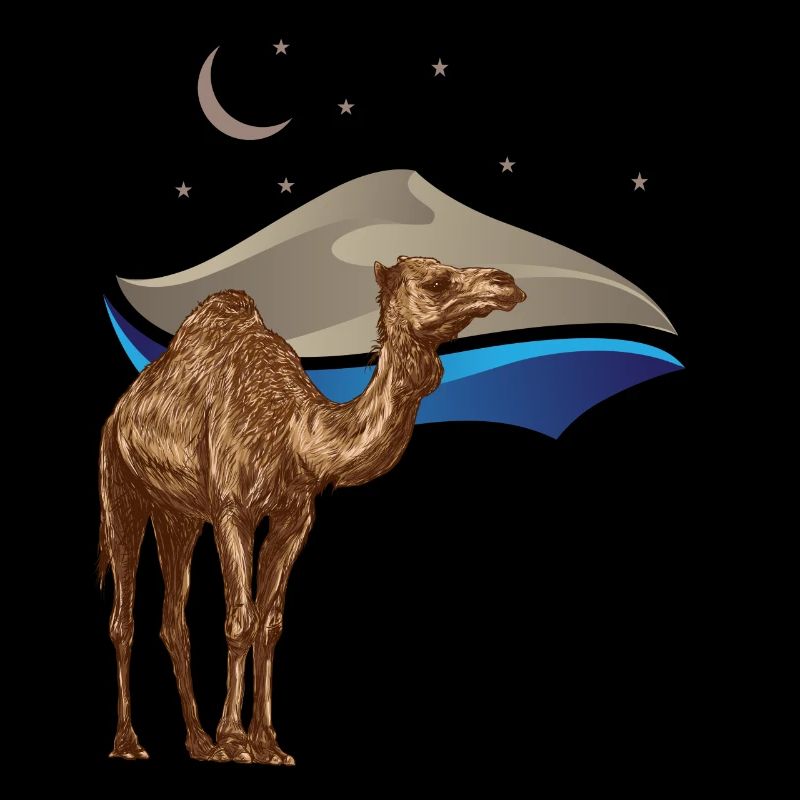 Wüstenzauber – Kamel unter Sternenhimmel