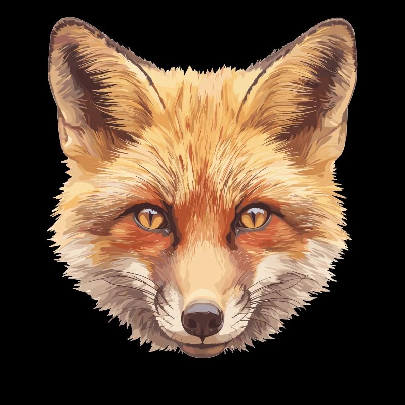 Renards Renard
