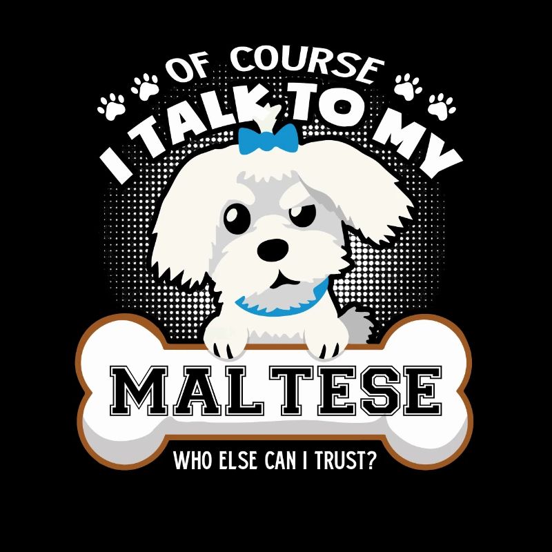 I Talk To My Maltese