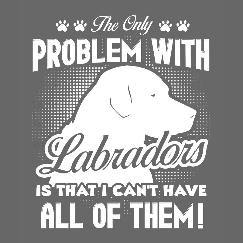 The Only Problem With Labradors