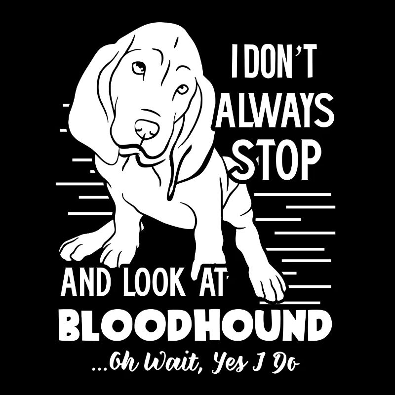 Look At Bloodhound Dog