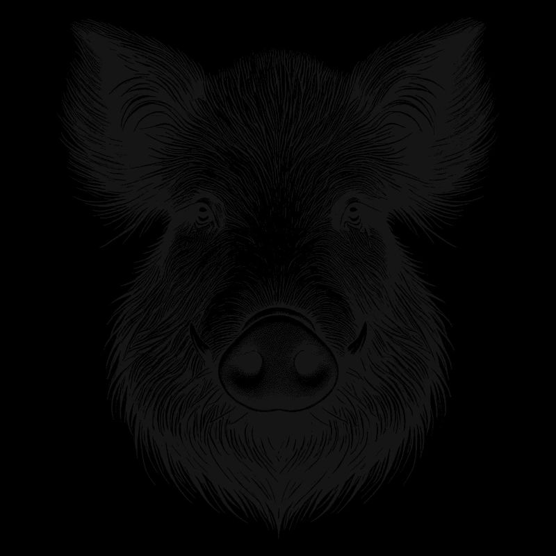 Sanglier
