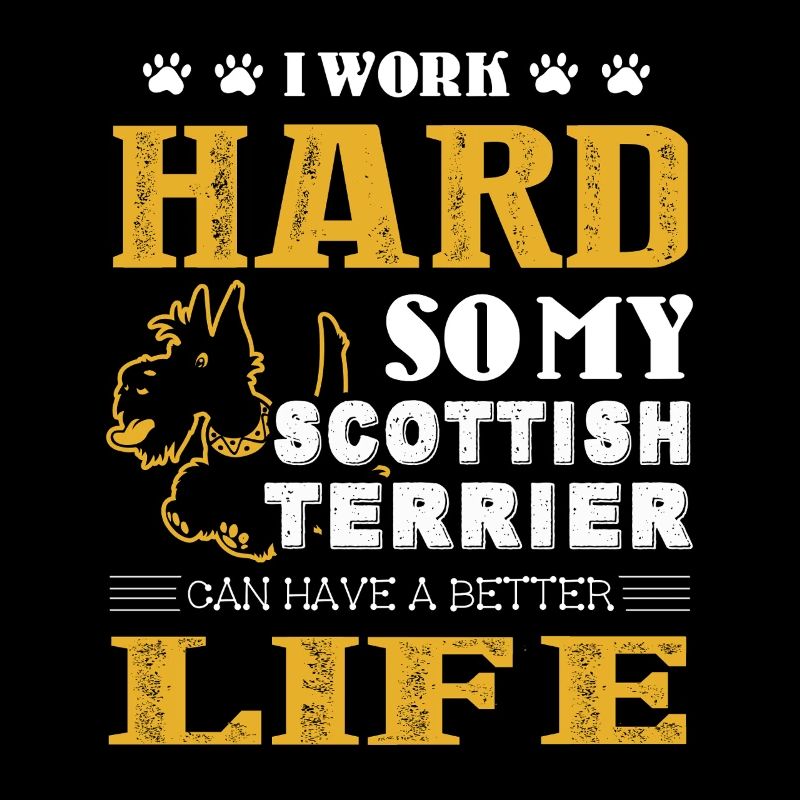 Scottish Terrier Can Live A Better Life