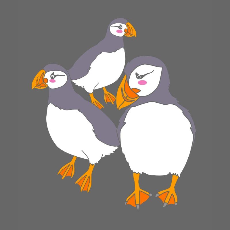Papageientaucher Puffin