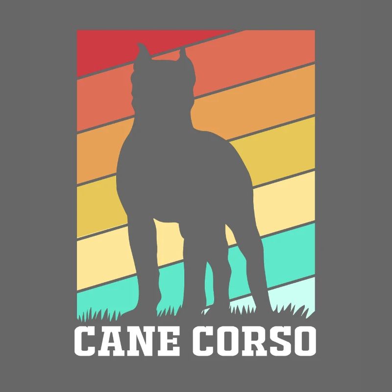 Cane Corso