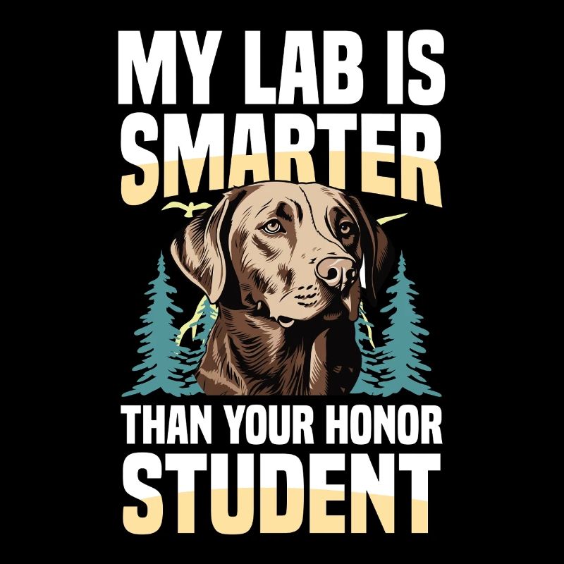 Chasse au Labrador