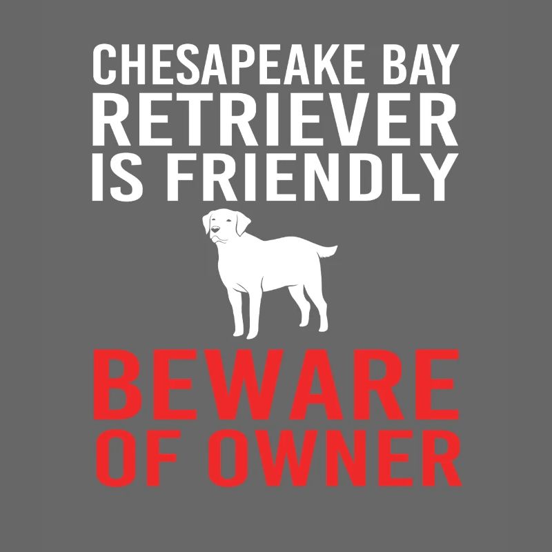 Chesapeake Bay Retriever