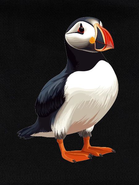 Puffin