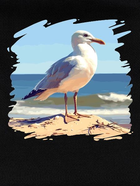 Möwen Möwe