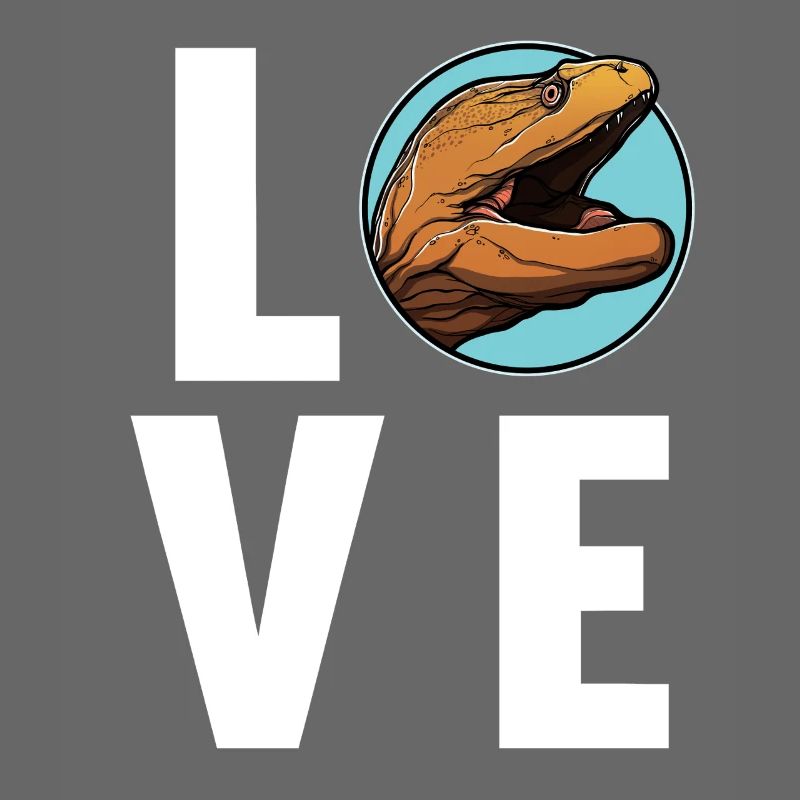 Moray eels Moray eel