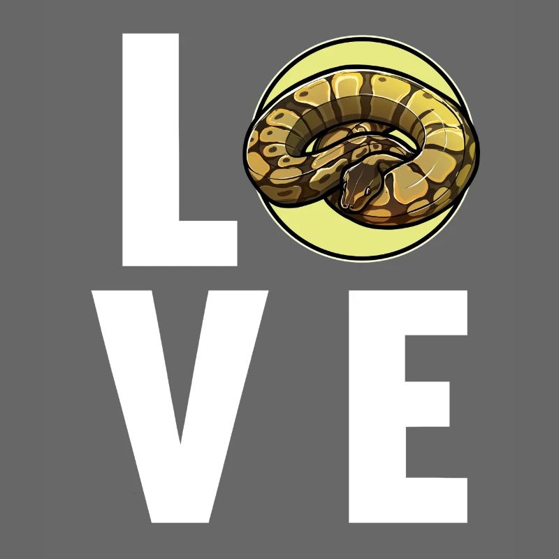 Ball Python Königspythons Königspython