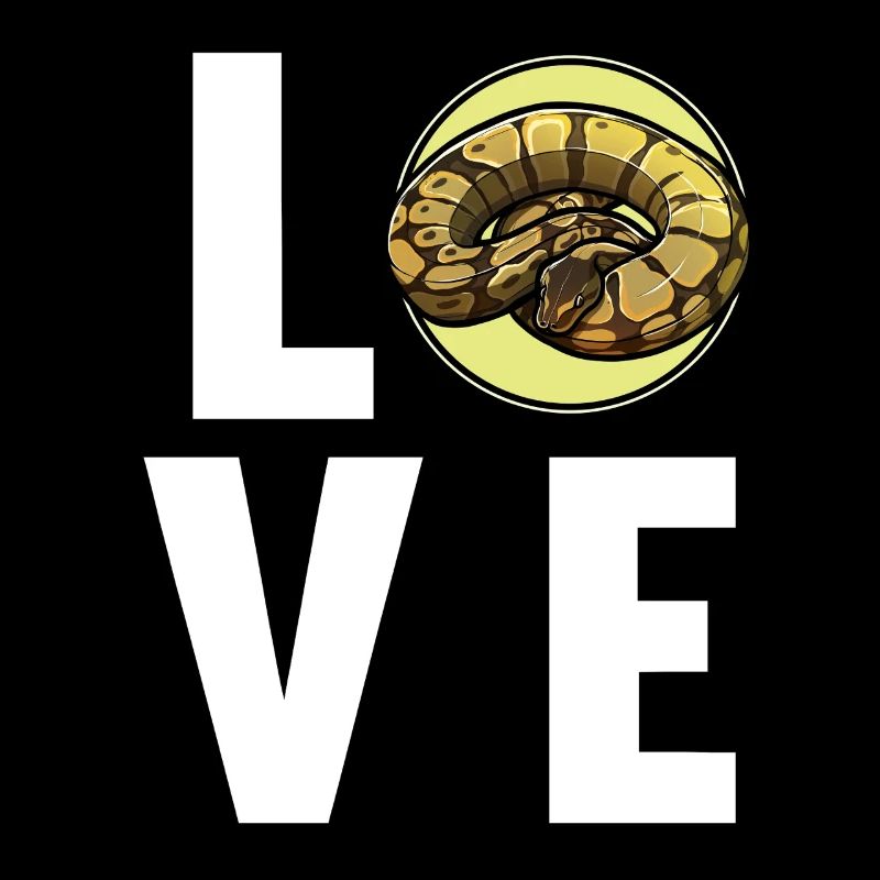 Ball Python Königspythons Königspython