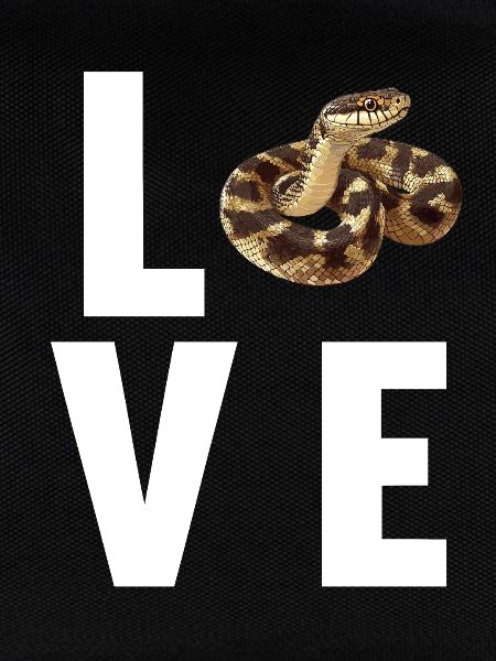 Schlangen Schlange
