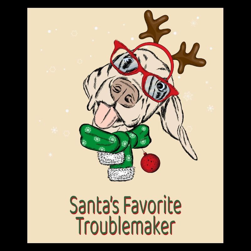 Le trublion préféré du Père Noël – Funny Dog