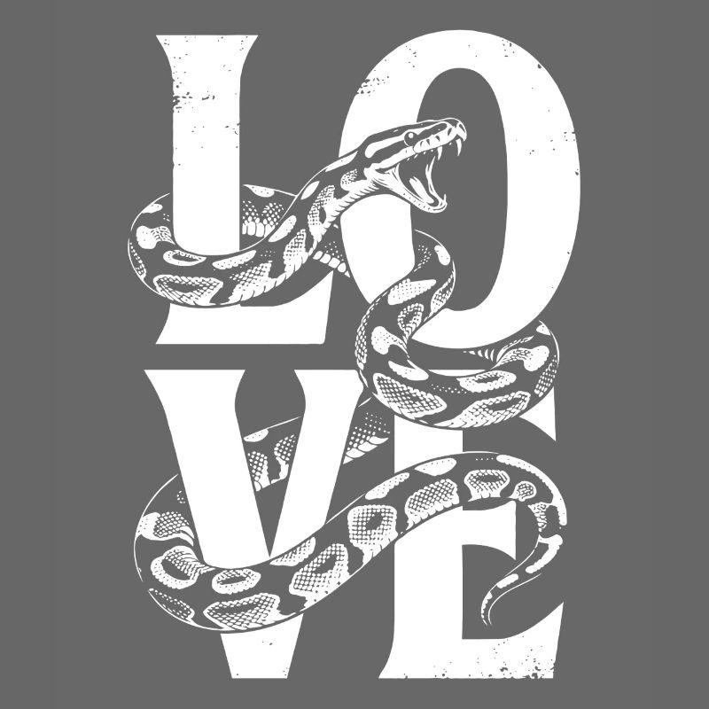 Königspython Schlangen LOVE Terrarium Python