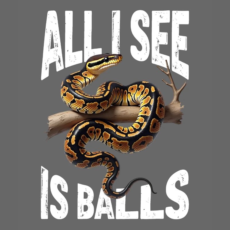 Python roi Serpents Amateurs de terrarium Python