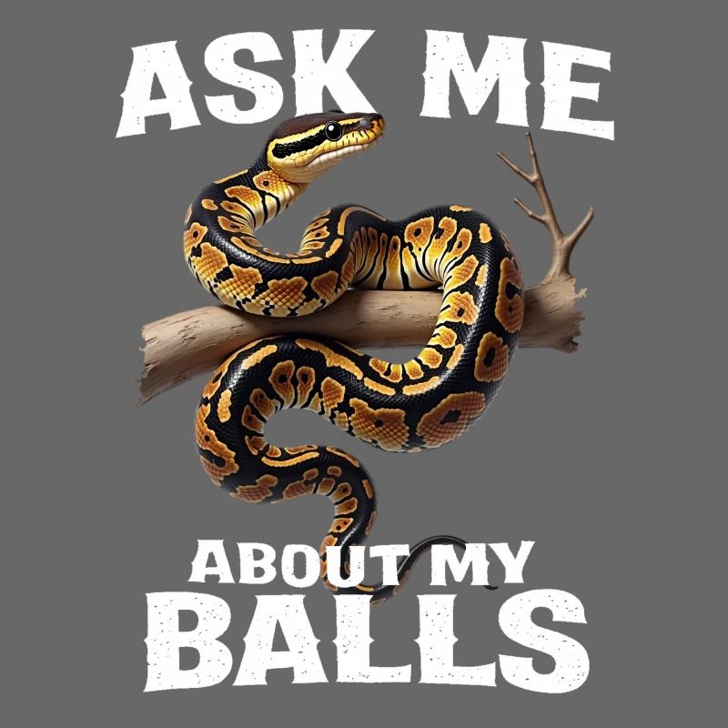 Python roi Serpents Amateurs de terrarium Python