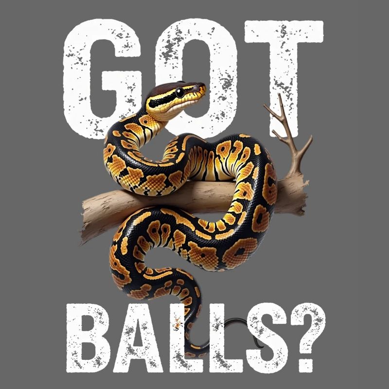 Python roi Serpents Amateurs de terrarium Python