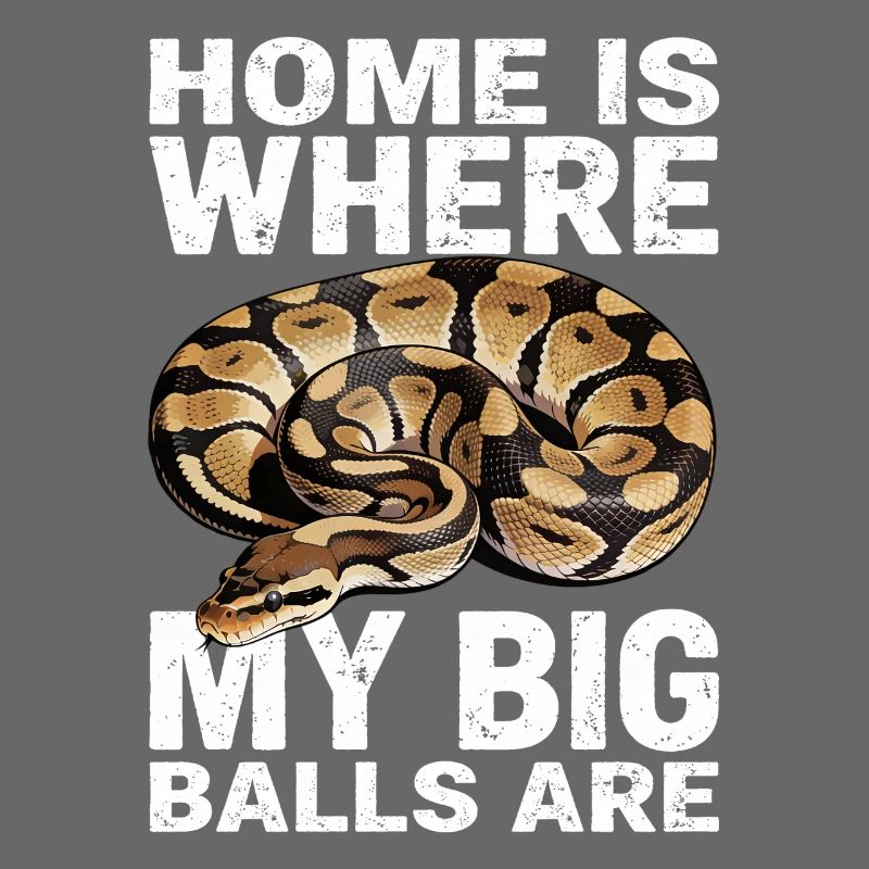 Python roi Serpents Amateurs de terrarium Python