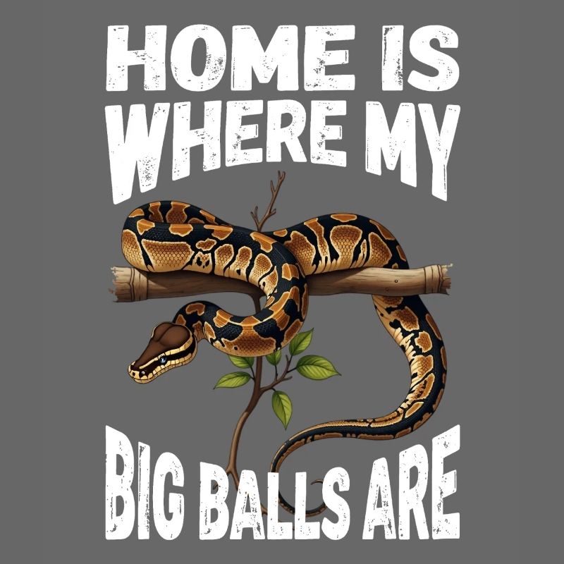 Python roi Serpents Amateurs de terrarium Python