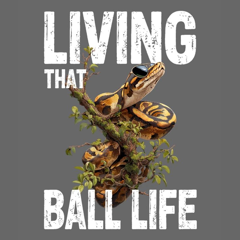 Python roi Serpents Amateurs de terrarium Python