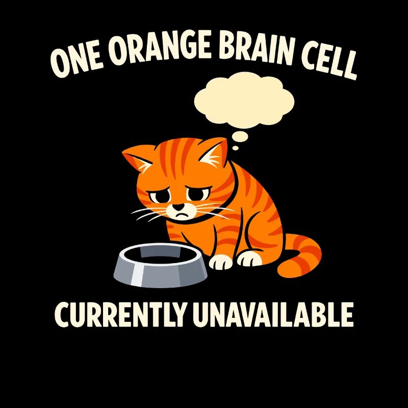 Orange Cat Chaos Funny Cat Orange Tabby Meme