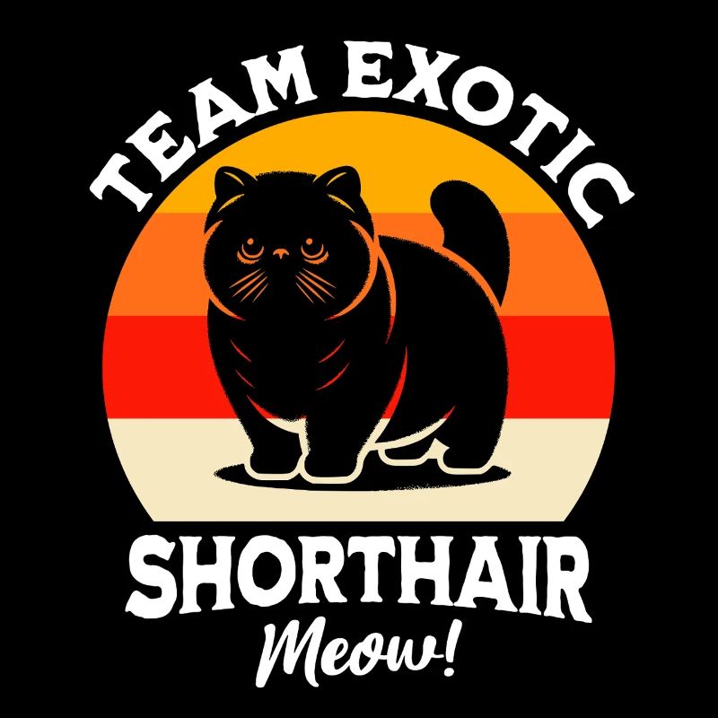 Team Exotic Shorthair Cat
