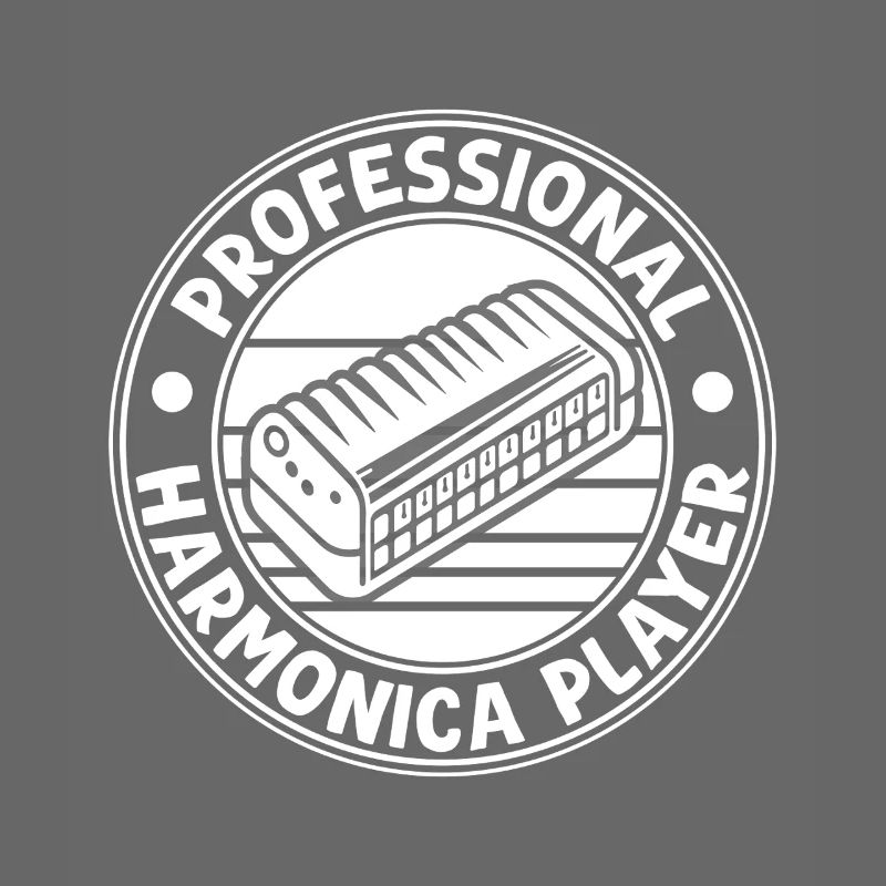 Harmonica Musican Professional Harmonica