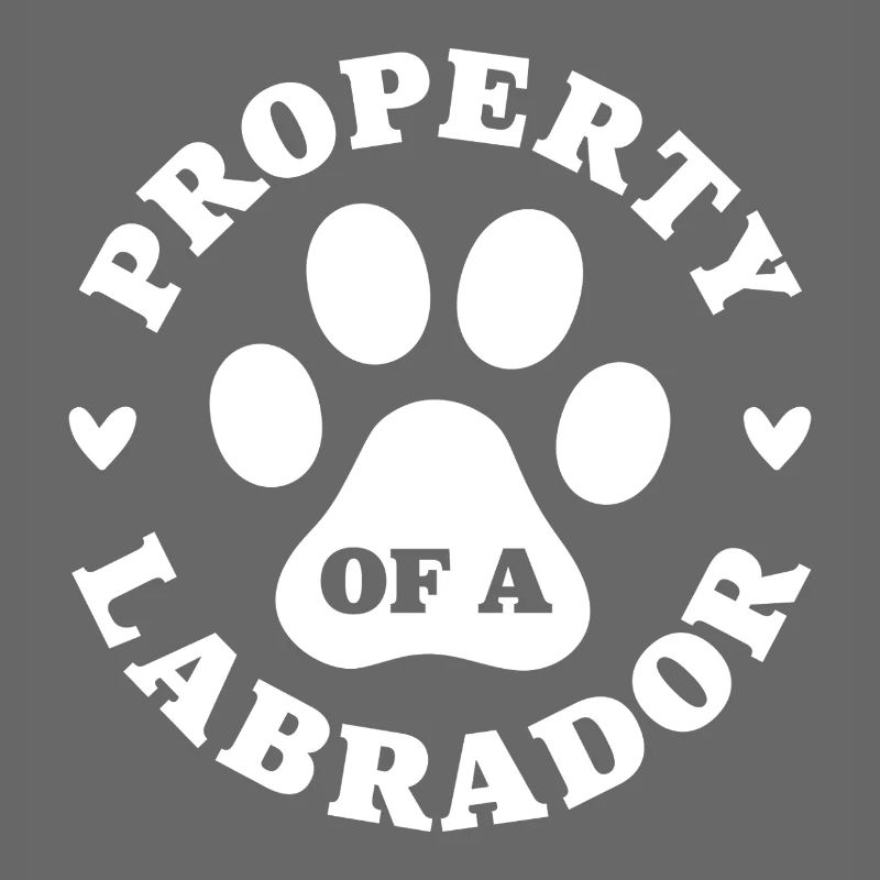 Eigentum eines Labradors