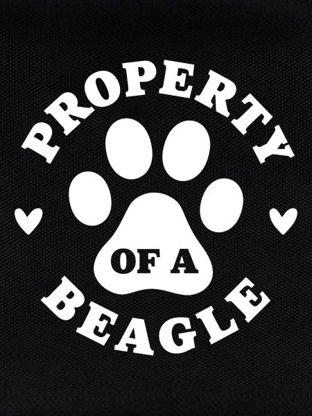 Eigentum eines Beagle