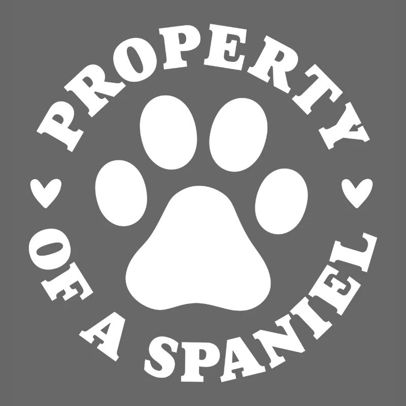 Eigentum eines Spaniels