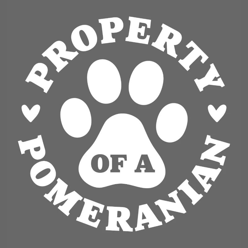 Eigentum eines Zwergspitzs