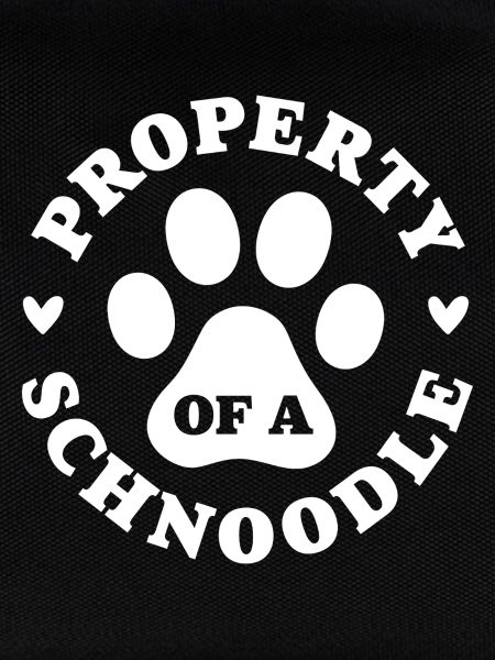 Eigentum eines Schnoodles