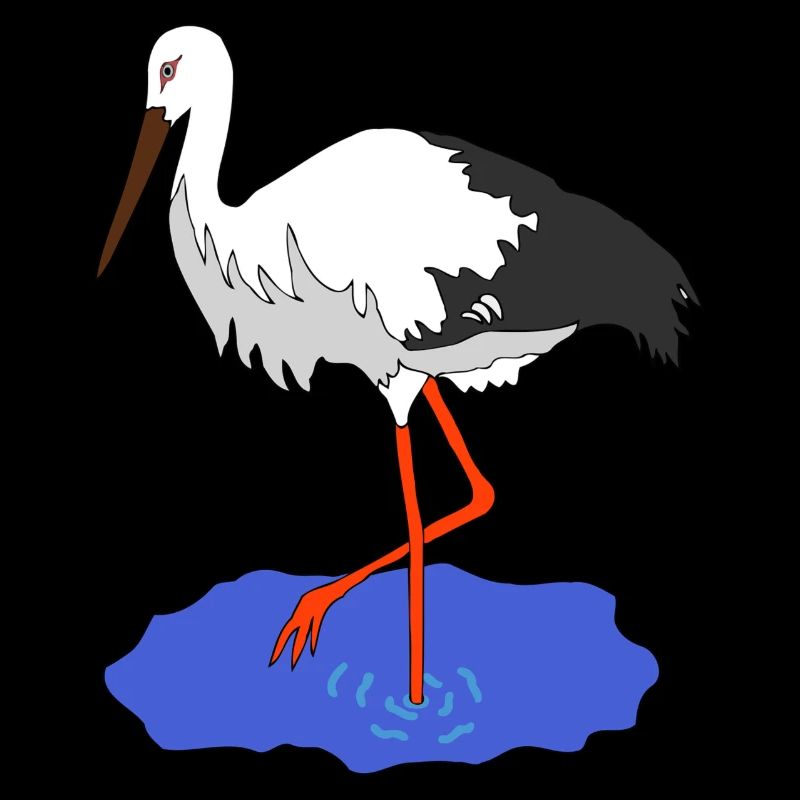 Storch