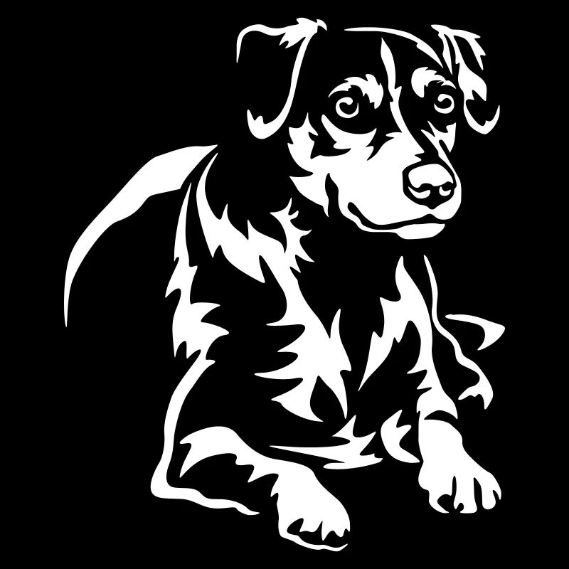 Dansk Svensk Gaardhond "Black Edition"