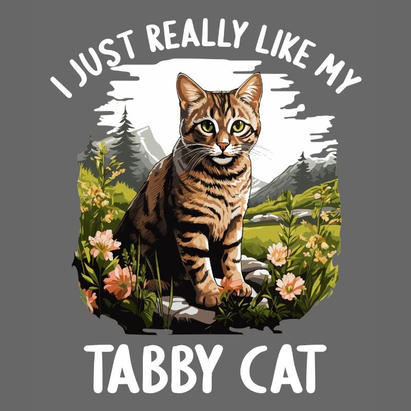 Tabby Kätzchen Tabby Katze