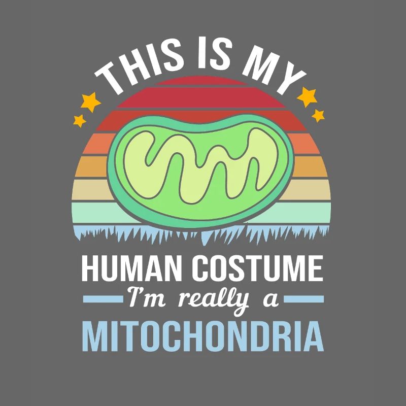 Molecule Structural Formula